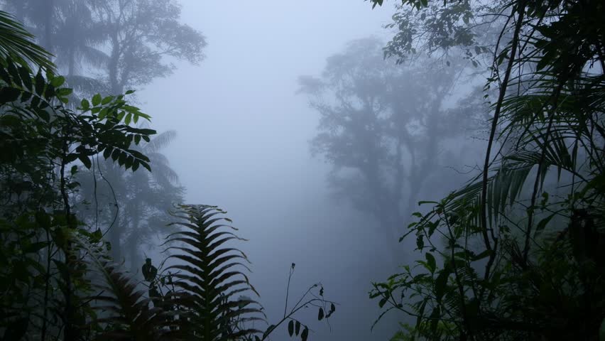 Have we mentioned the humidity&nbsp;yet?