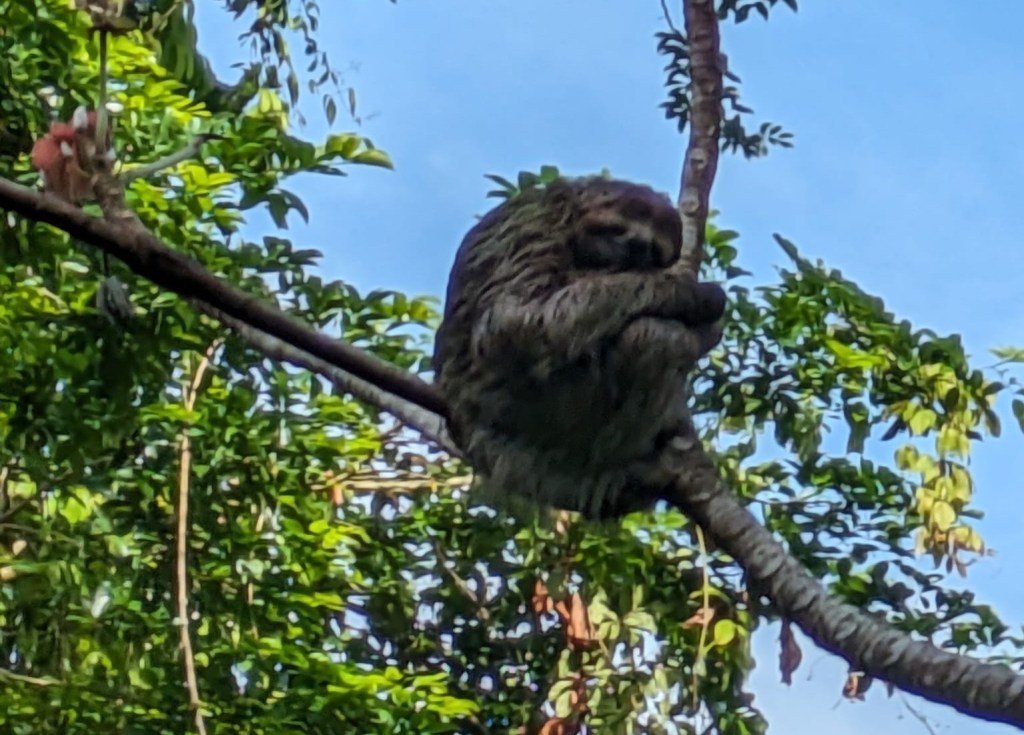 They’re only #%!@?!&nbsp;real!