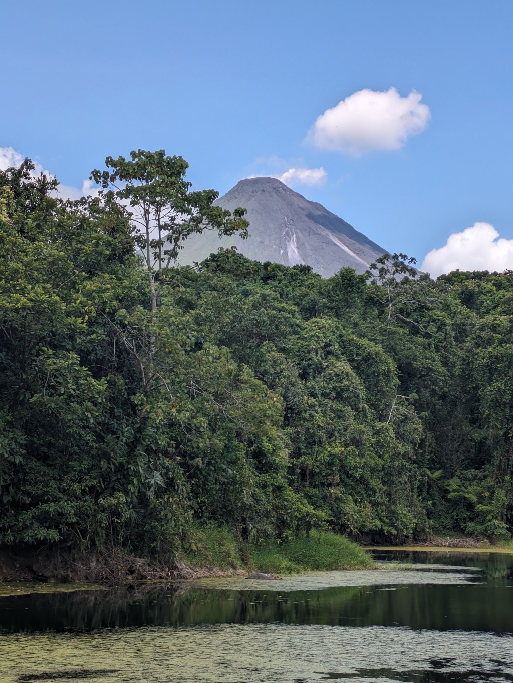 What is that&nbsp;noise?