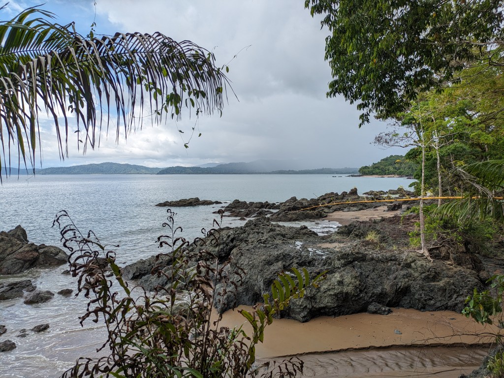 A few ‘Pungent’ days in Drake&nbsp;Bay