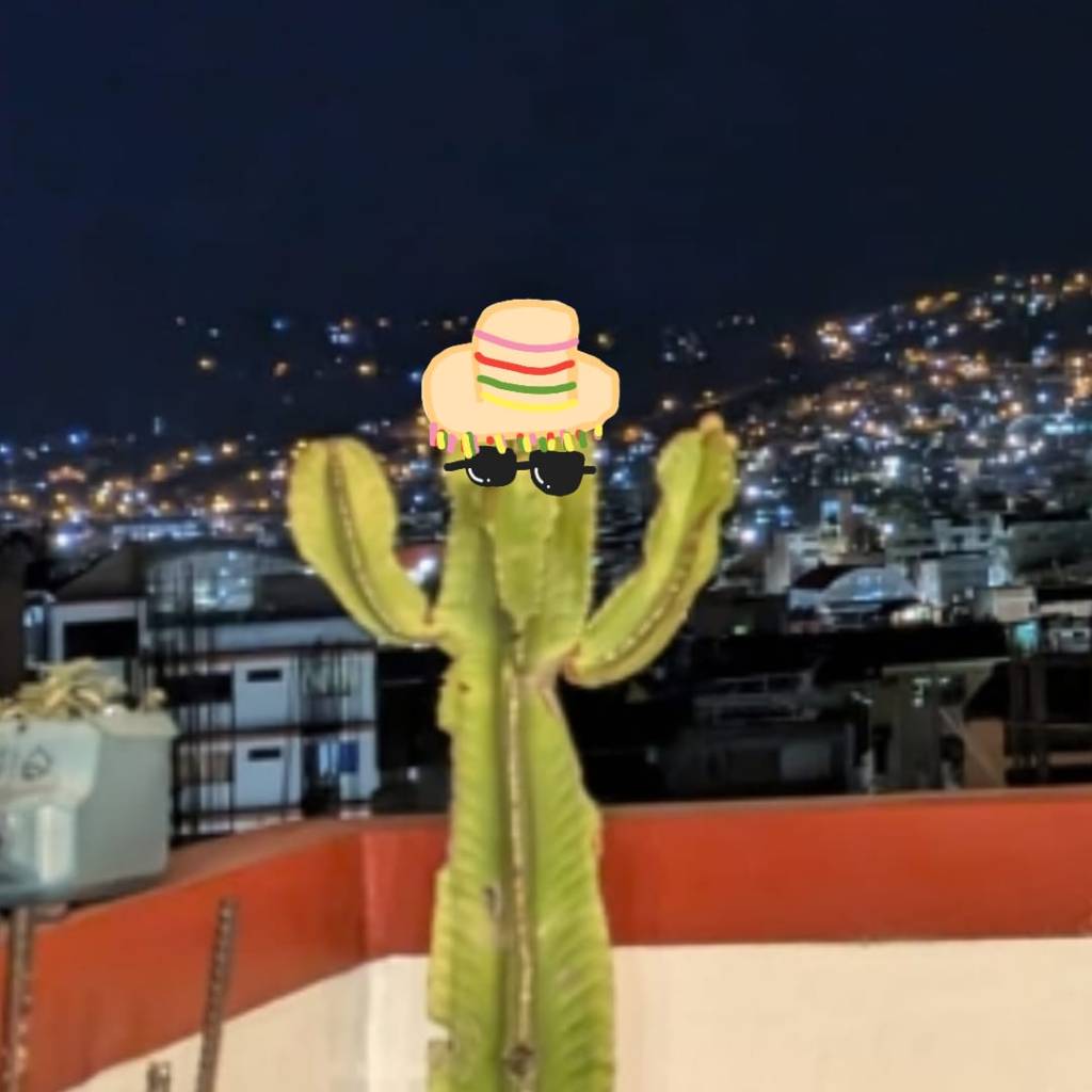 A grand day&nbsp;out