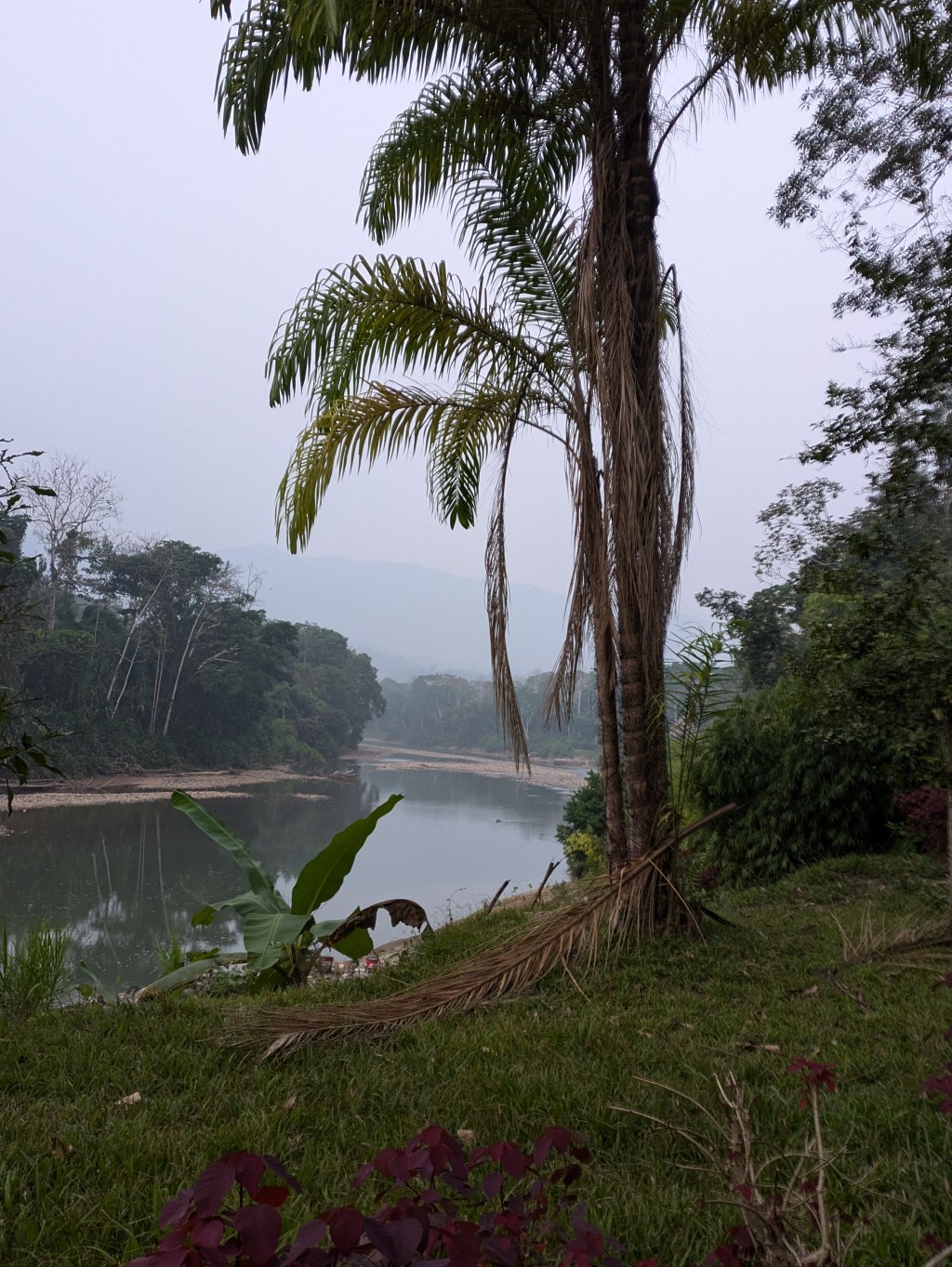 Jungle all the Way: Part 3 – Back to the&nbsp;Jungle!